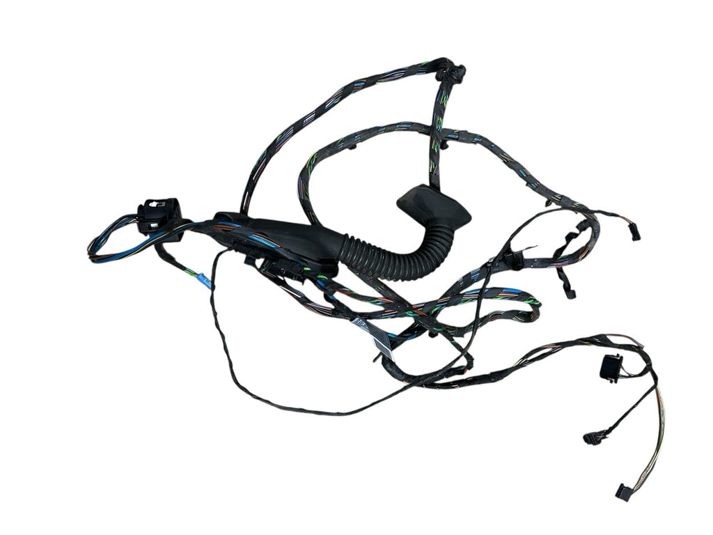 2011 BMW X5 Rear Left Driver Side Door Wire Wiring OEM ￼920785703